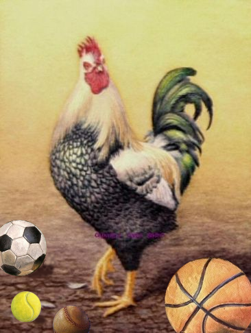 Ye Olde Cock And Balls